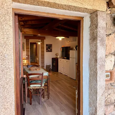 Gli Olivastri Apartament *